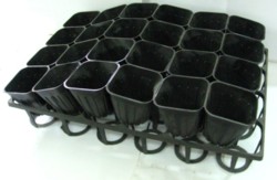 Multi Pot 24 Holes Top View